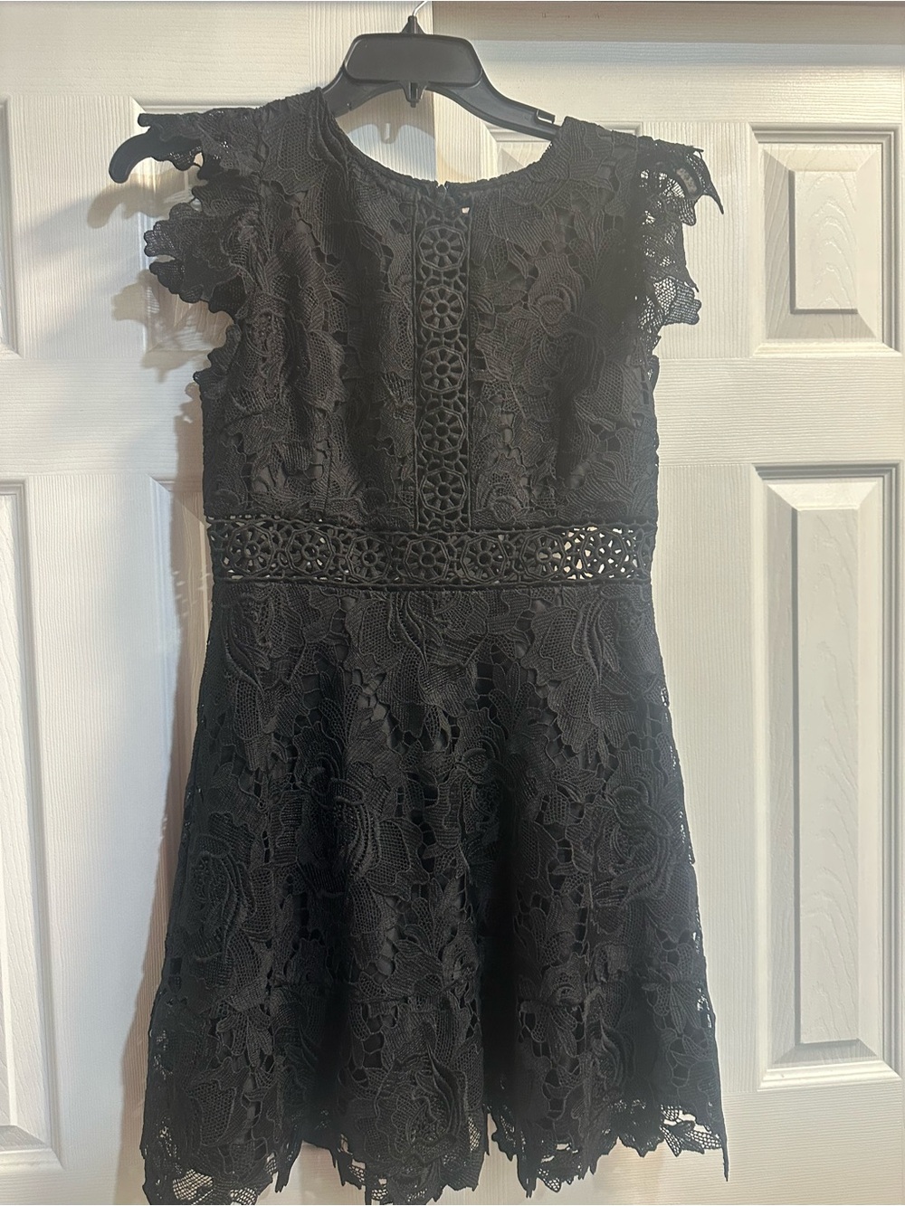 BB Dakota Black Lace Fit & Flare Mini Dress